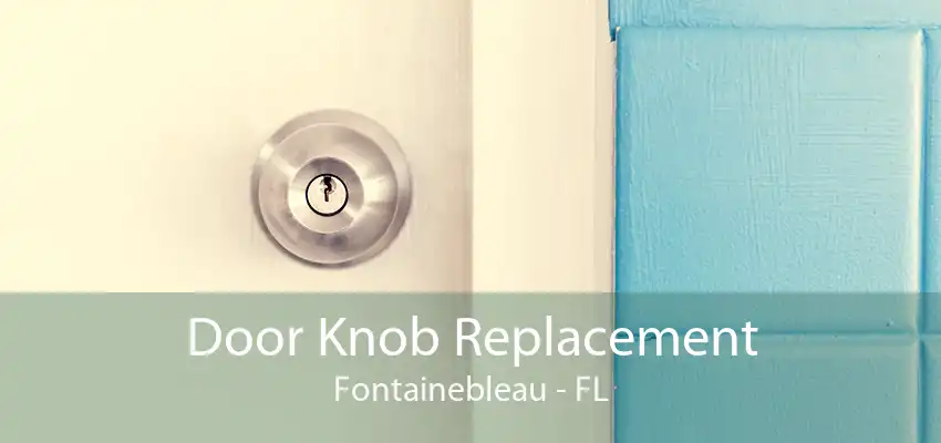 Door Knob Replacement Fontainebleau - FL