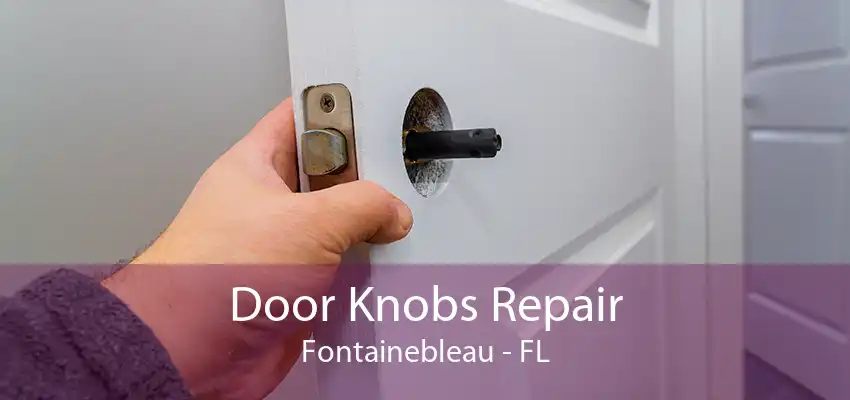 Door Knobs Repair Fontainebleau - FL