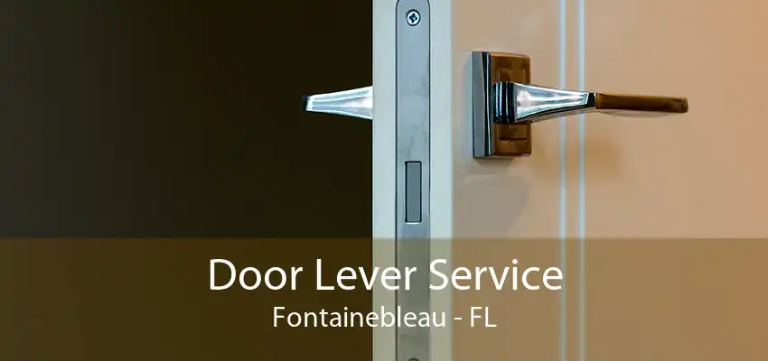 Door Lever Service Fontainebleau - FL