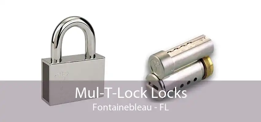 Mul-T-Lock Locks Fontainebleau - FL